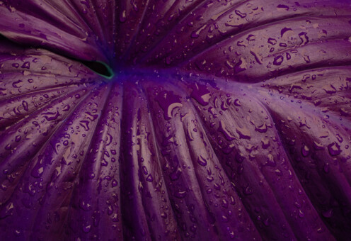 Trajna epilacija pazuha: mali tretman za veliku razliku u svakodnevici